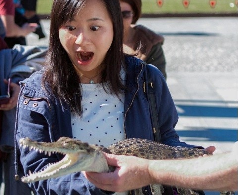 Female student patting baby corcodile on Eastern Avenue.