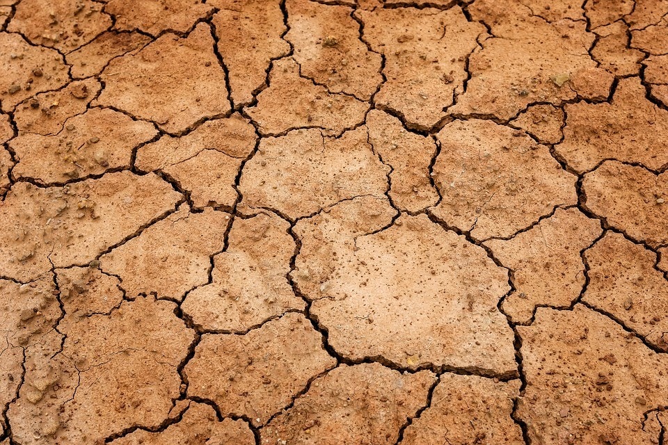 Troubled waters: experts comment on the drought and water policy - News - The University of Sydney