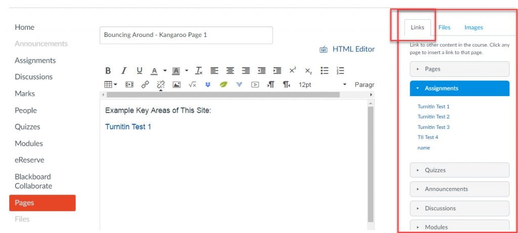 Canvas content editor in edit mode, highlighting the content selector on the right hand side of the rich content editor.