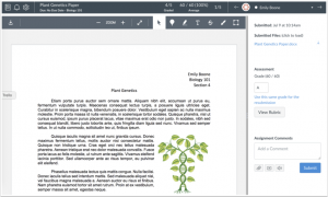 SpeedGrader screen in Canvas showing student submission side-by-side next to grading interface