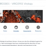 VIRO3001 screenshot