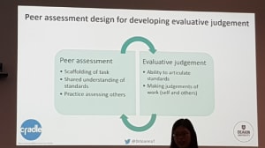 Peer assessment design relating to evaluative judgement