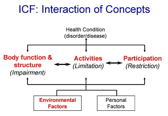 About Icf: A Multi-dimensional, Interactive Model - Ncch - The 