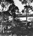 William Wright and friends at Drummoyne Park. Northwest corner of garden, Drummoyne House.