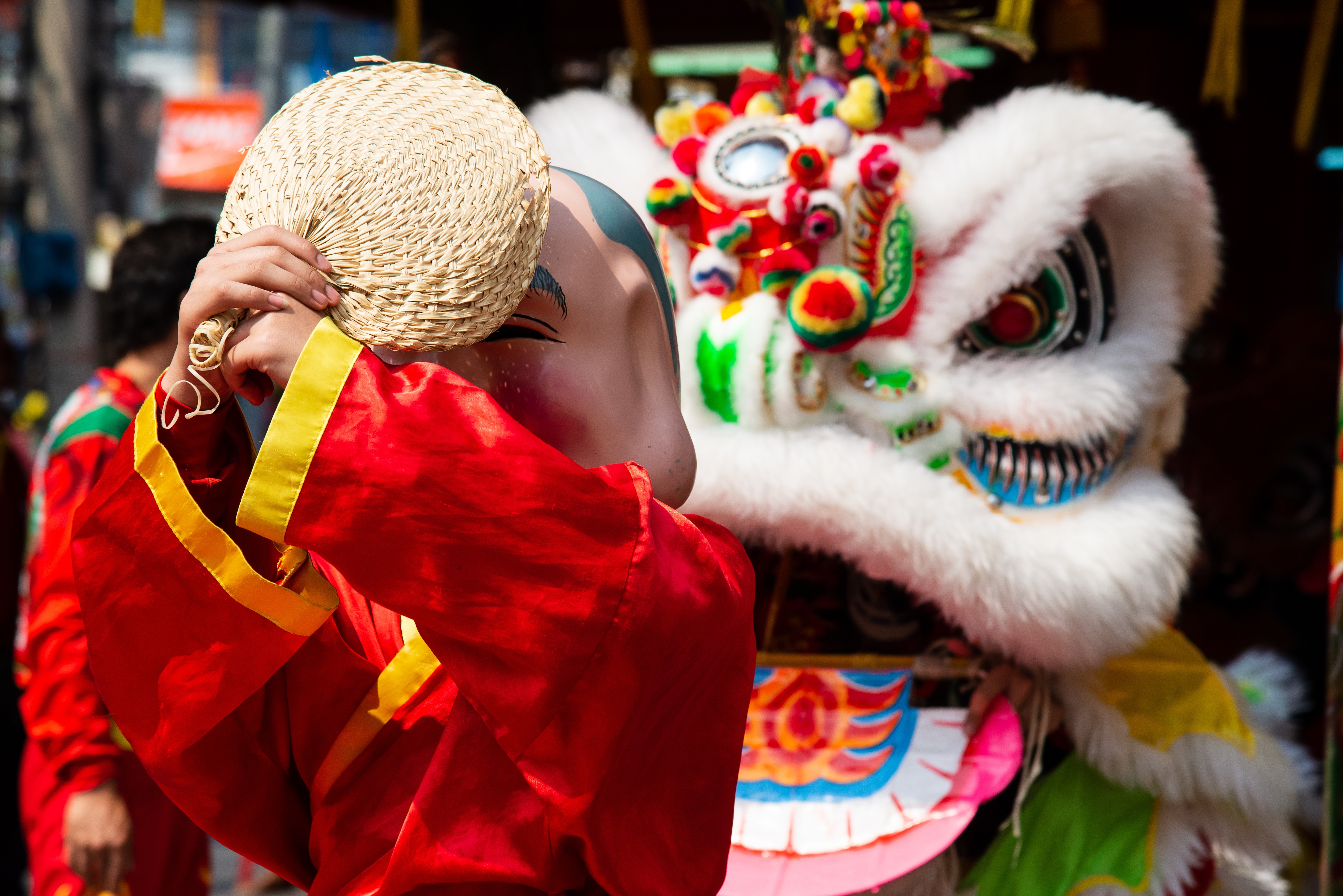 Lunar New Year celebrations concept.