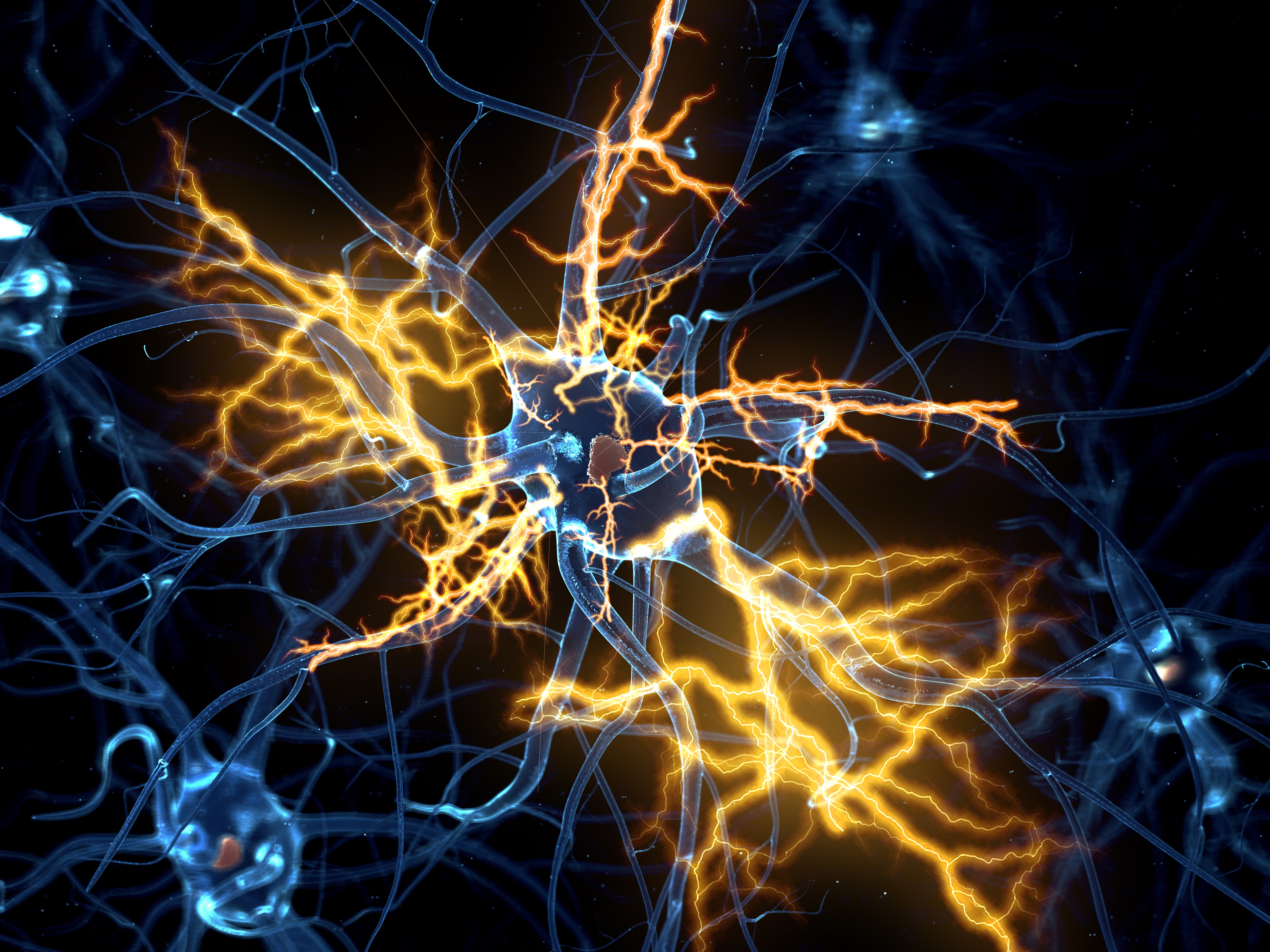 Nerve cells