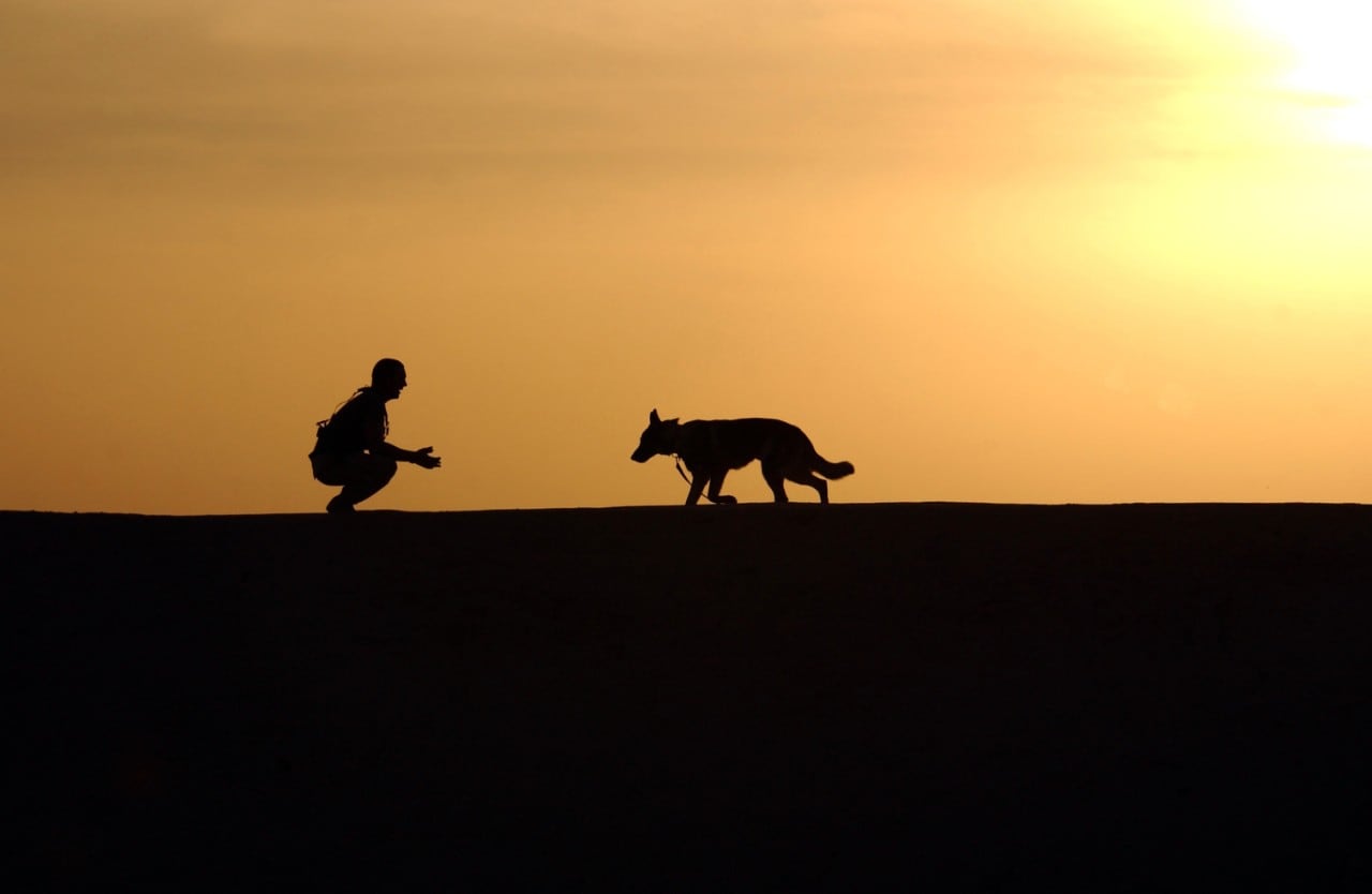 Silhouette of a man and a dog