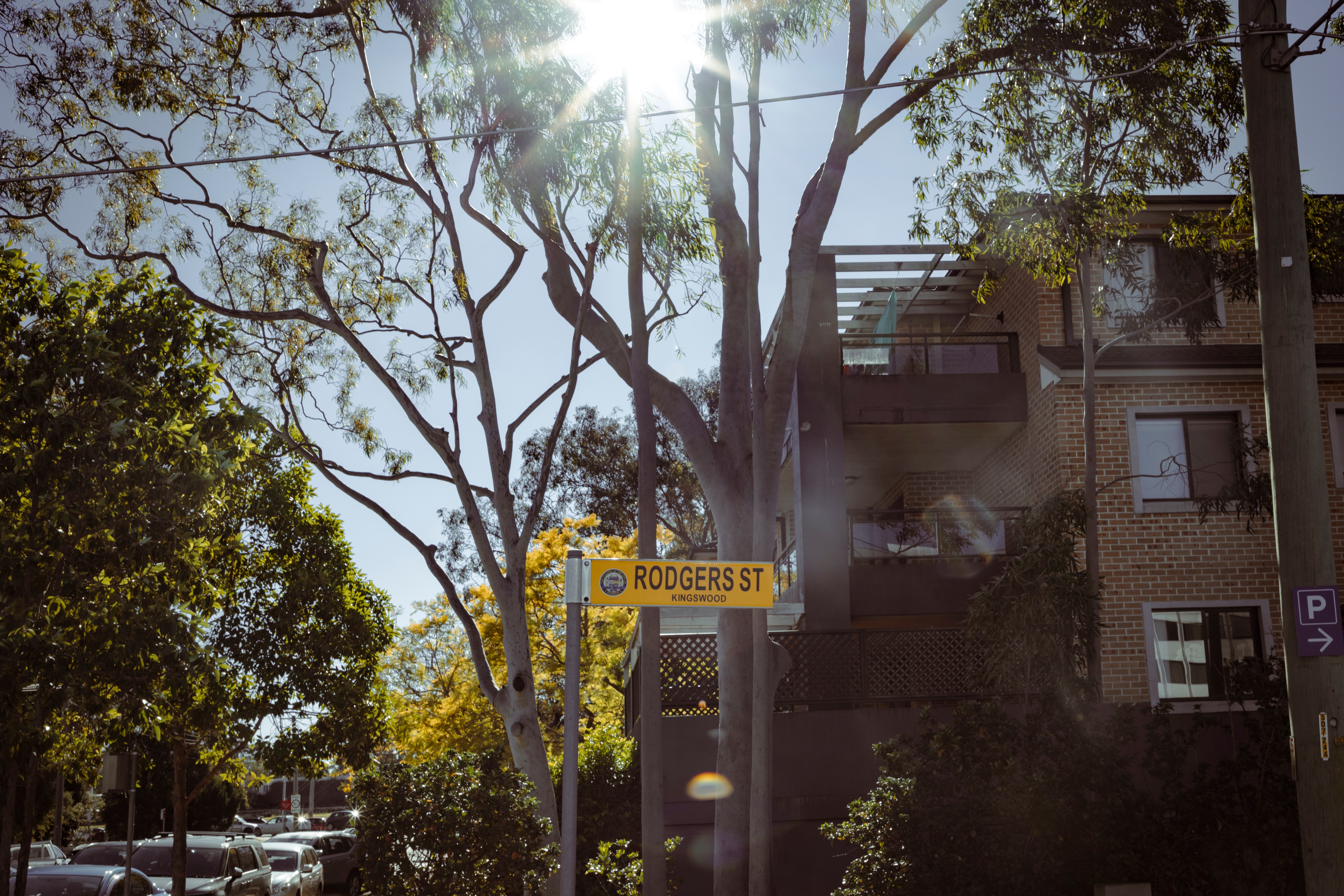 Rodgers St Kingswood street sign, surrounded by trees