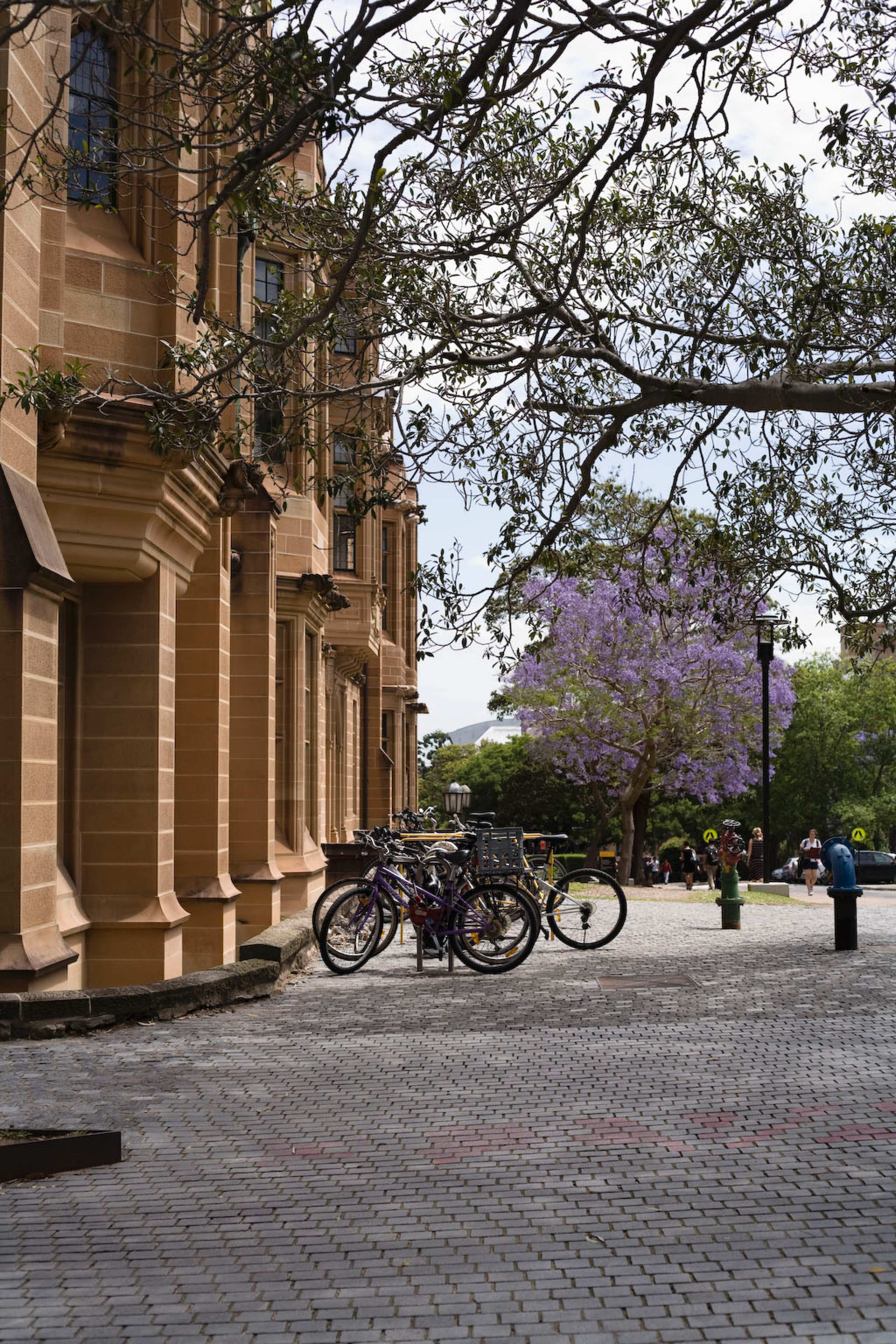 Bike parking at the quad