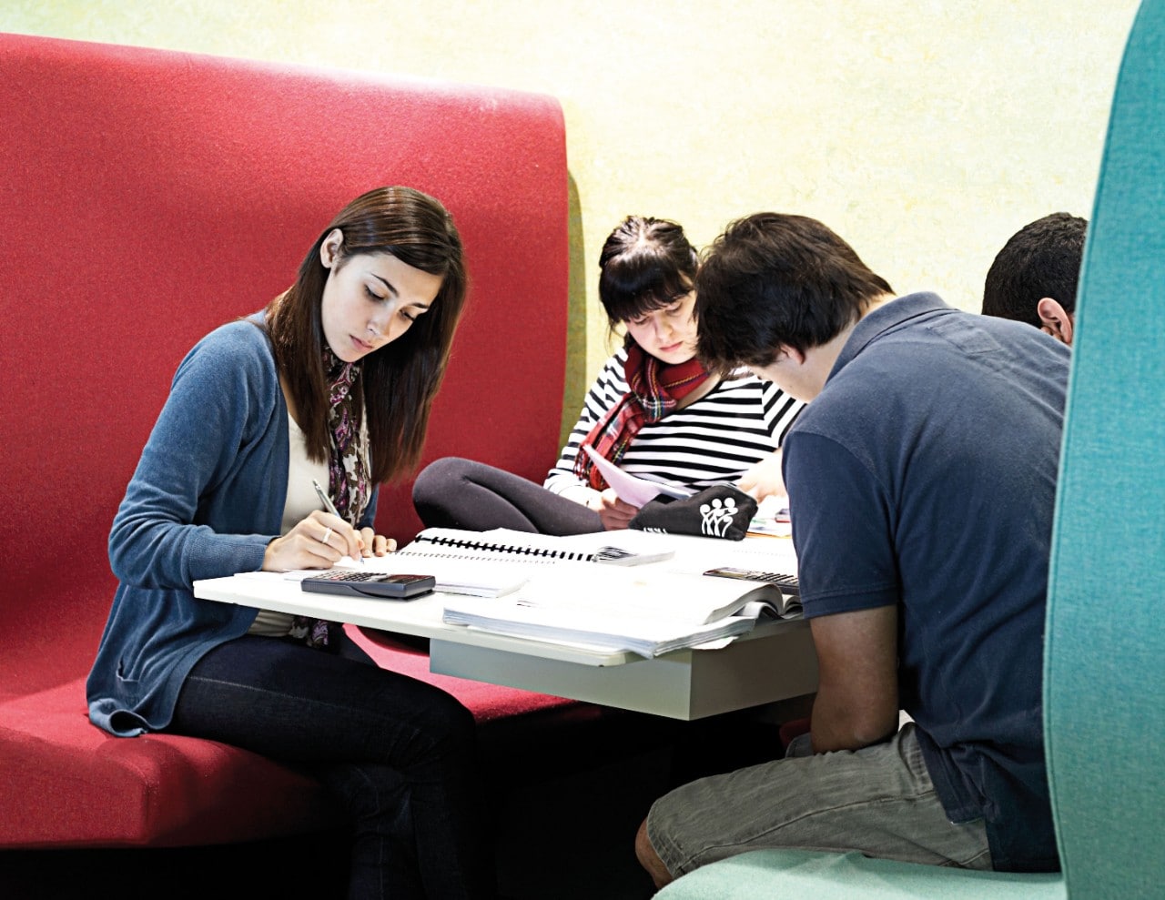 Students studying together