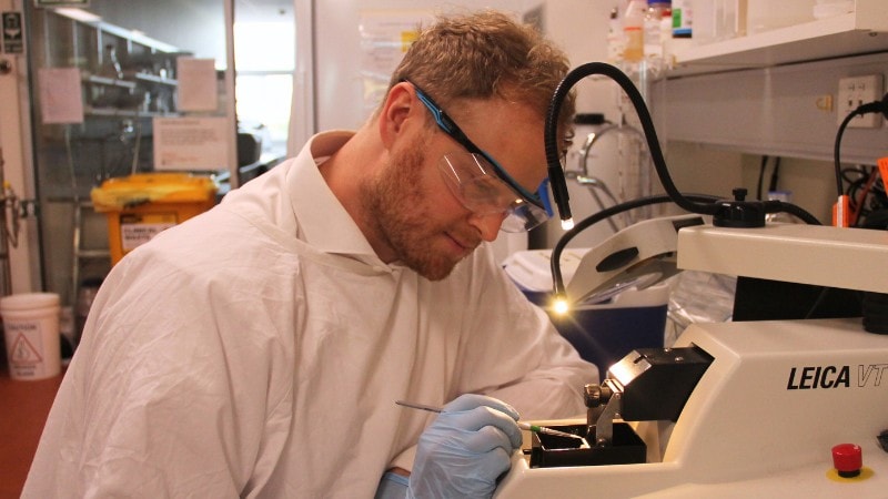 Dr Nick Everett in the lab at the Brain and Mind Centre.