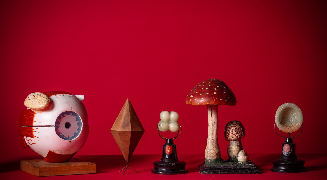 Various minature objects on a red backdrop.