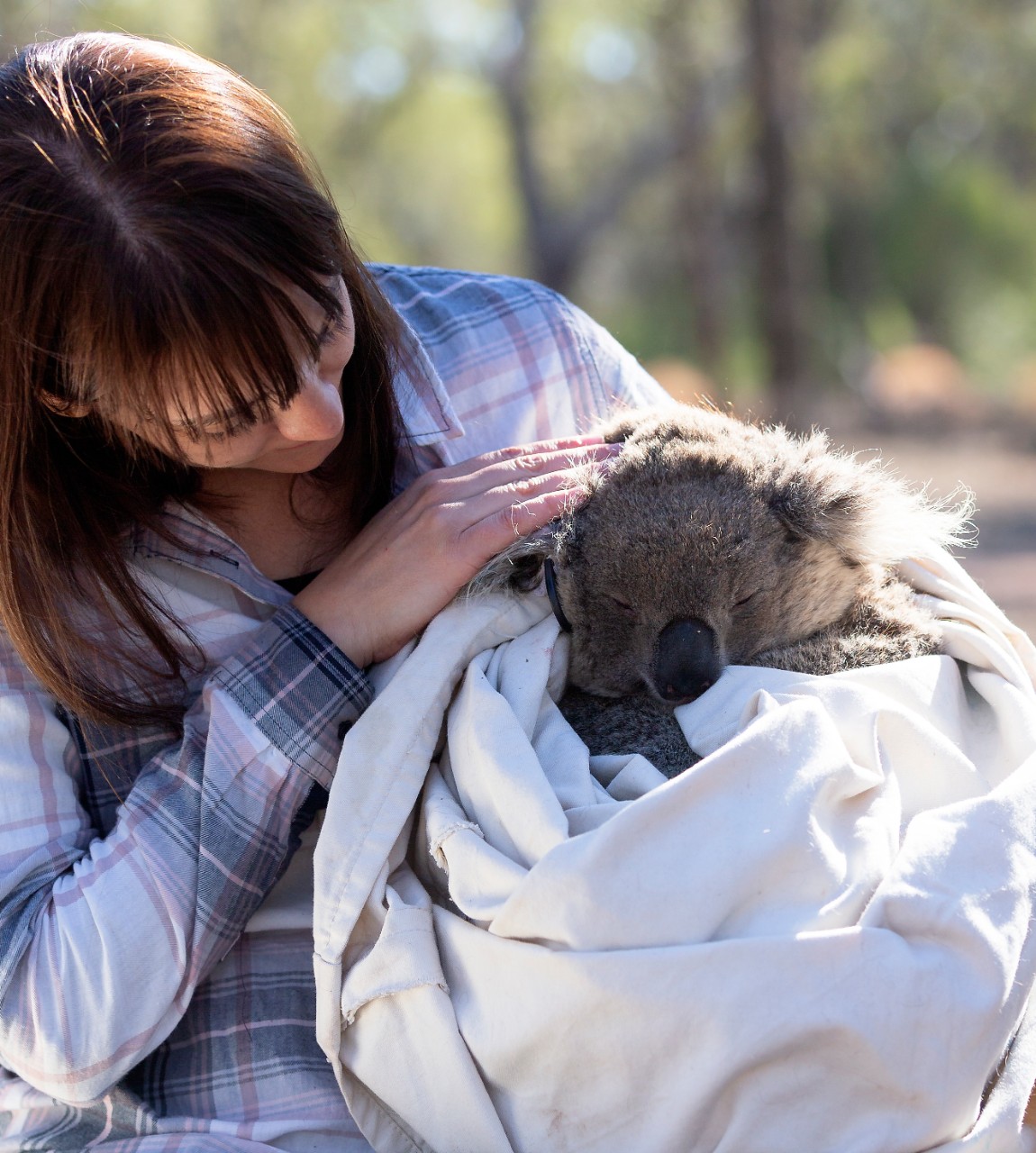 Dr Valentina Mella holding a koala