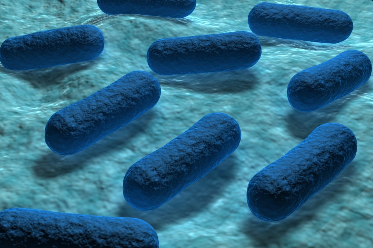 3d detailed illustration of E coli Bacteria