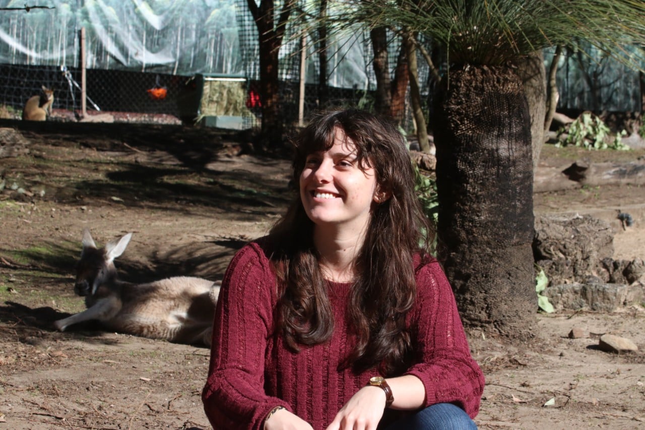 Olivia Coppin at Taronga Zoo with kangaroos