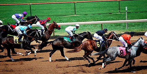 Thoroughbred horses racing on a track.