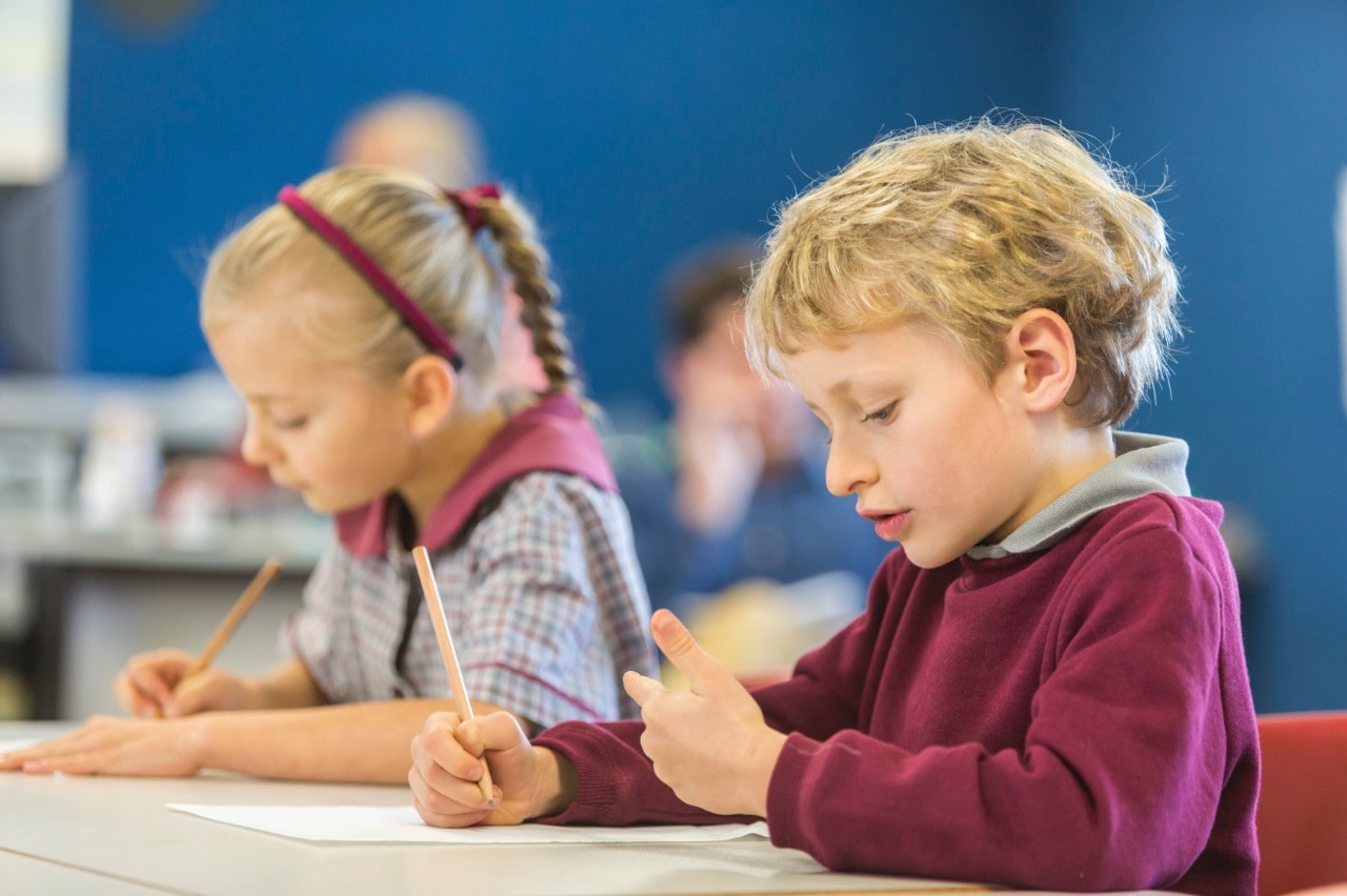 A boy and girl student tackle maths questions in class. Image: iStock