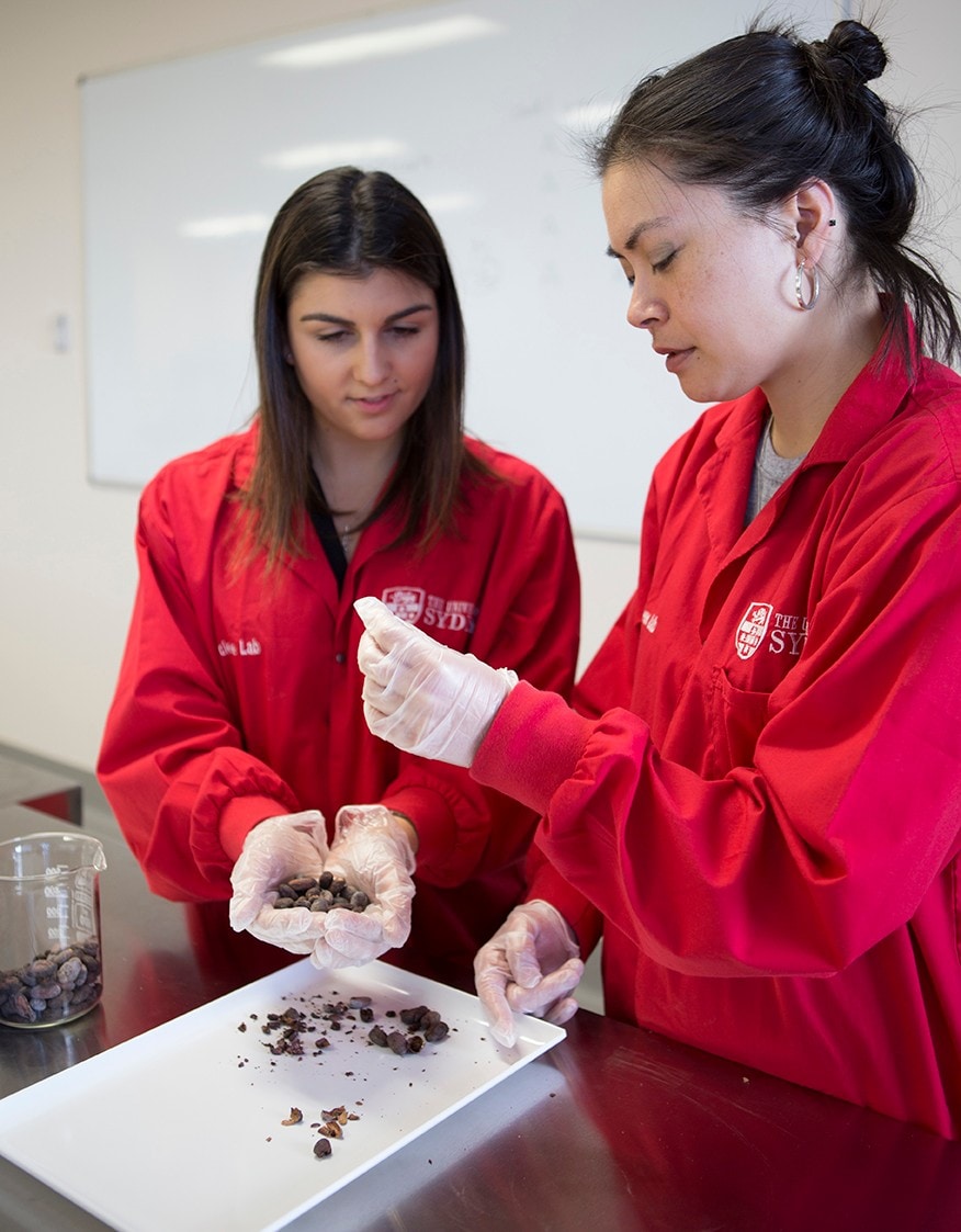 Katrina Carlino and Dr Kim-Yen Phan-Thien looking at fermented and dried cocoa beans in the food science laboratory.