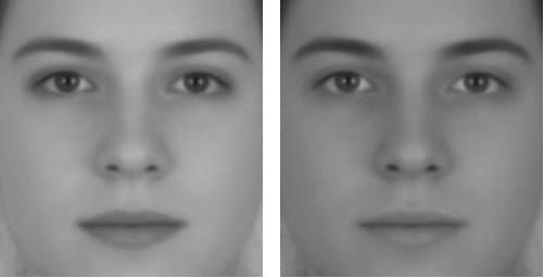 Two images of the same face - the face on the left has been lightened and appears more feminine, the face on the right has been darkened and appears more masculine. 