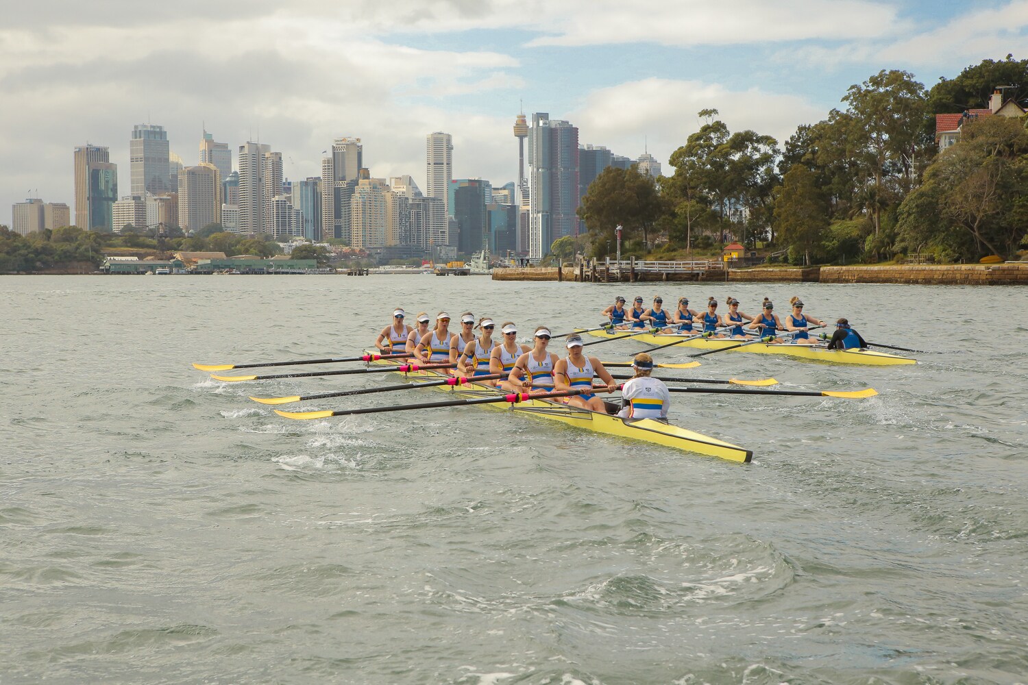 Olympians To Celebrate 10 Years Of The Australian Boat Race The University Of Sydney 