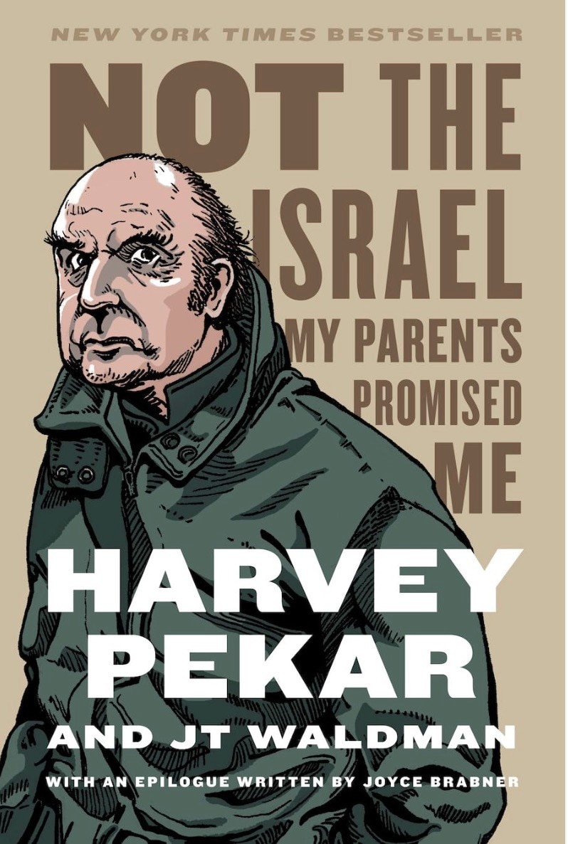 Book cover of Not the Israel my Parents Promised Me