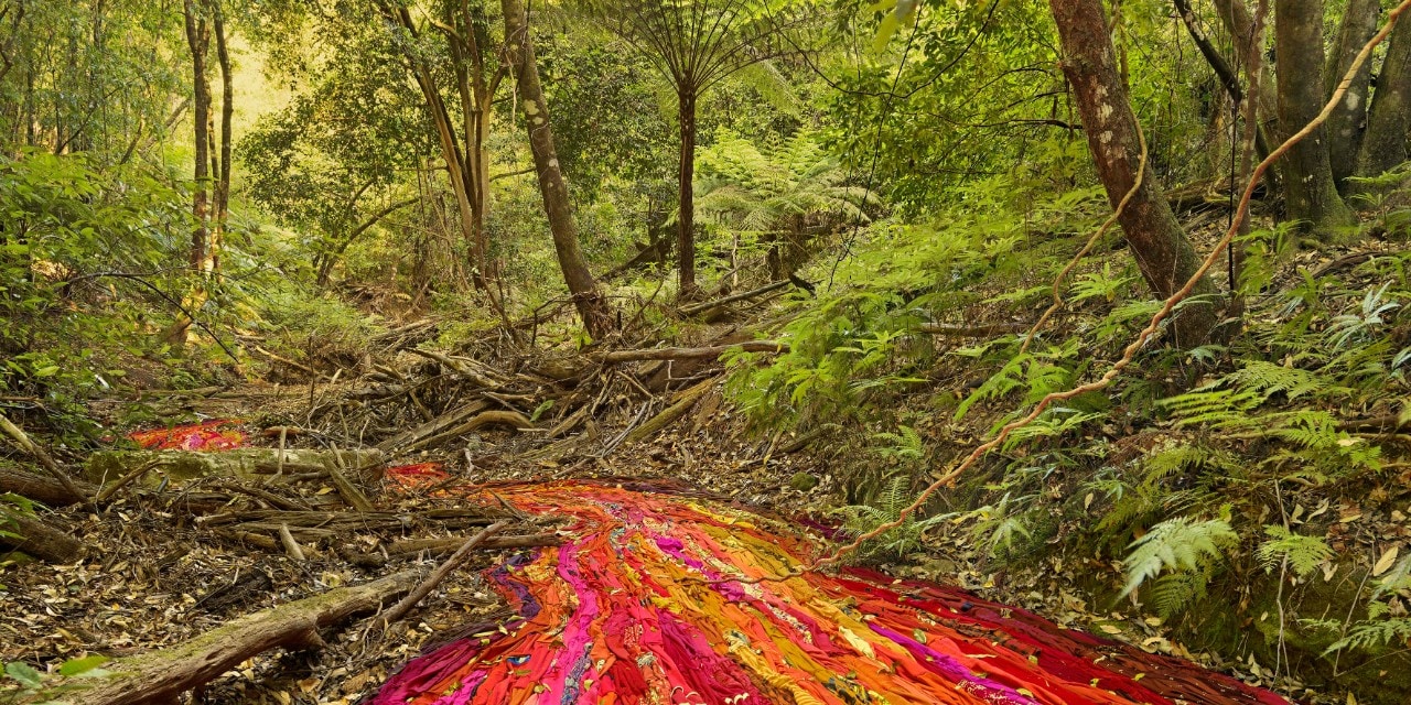 a forest with a carpet of red and orange on the floor