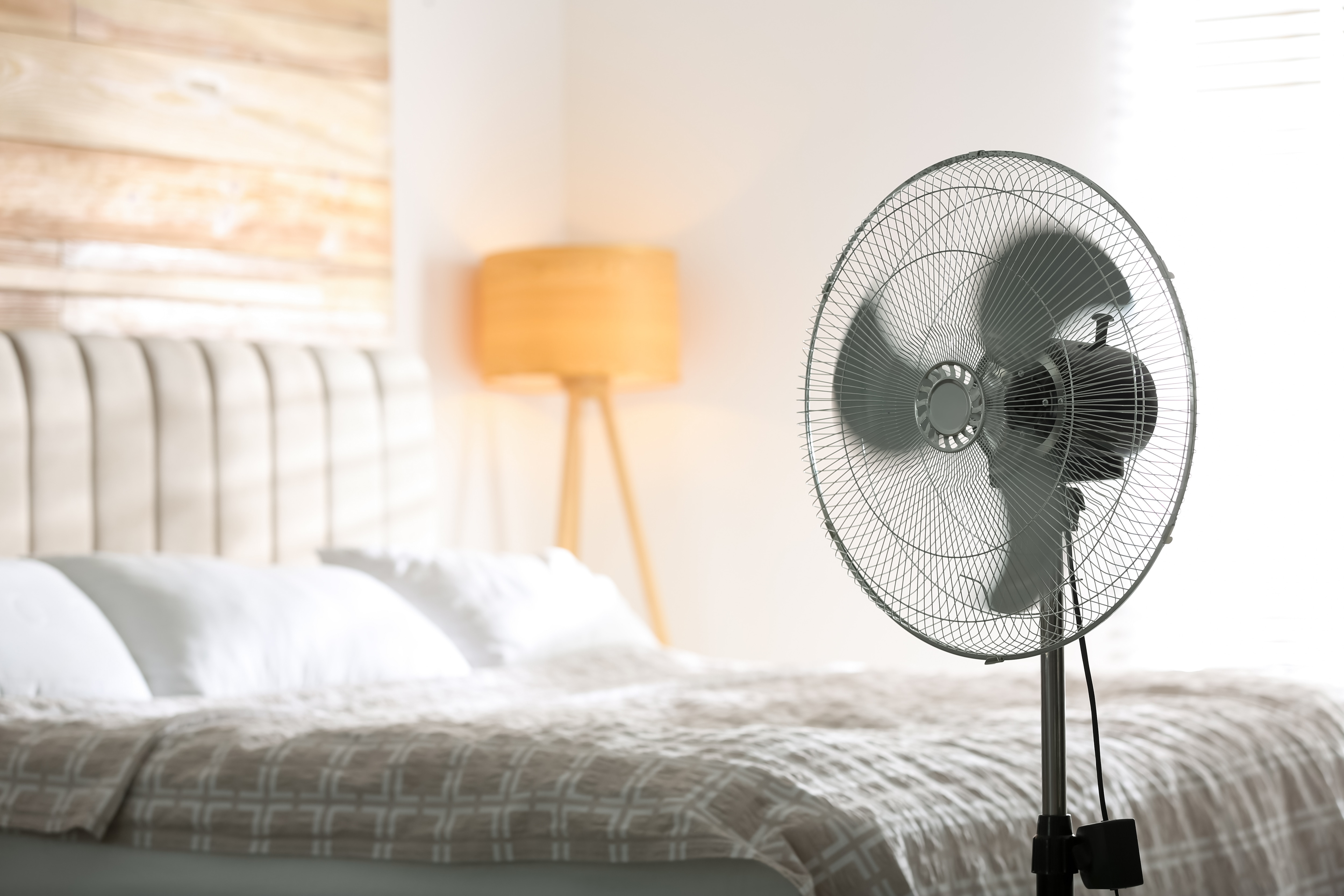 Fans on their own are remarkably good at keeping our body temperature at a safe level for healthy people. Picture credit Adobe Stock