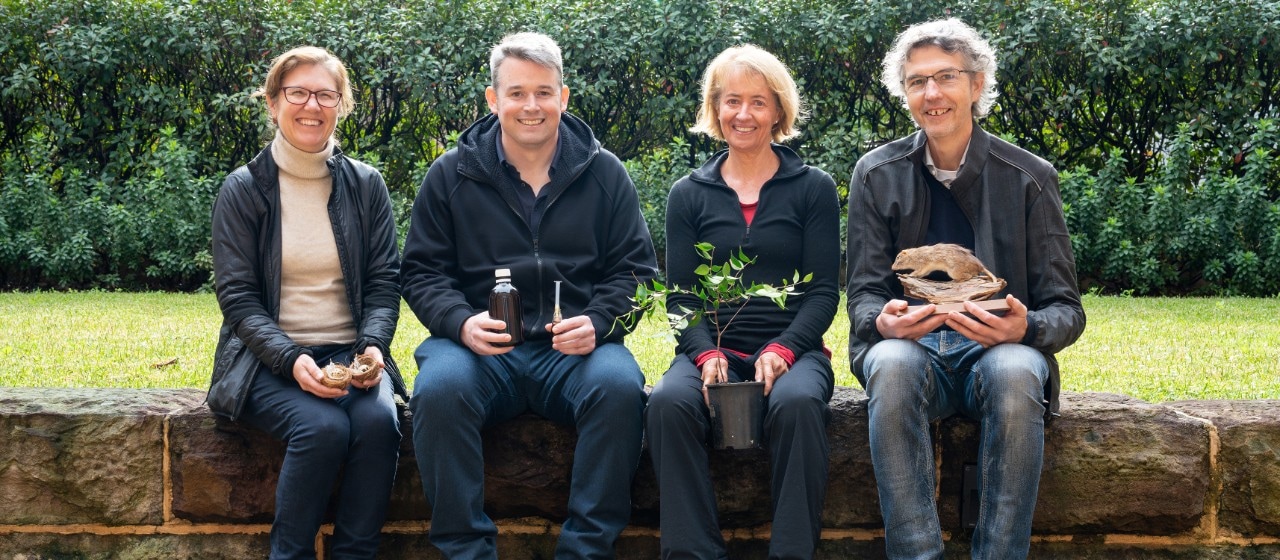 Sensory Conservation Team (from left): Dr Catherine Price, Dr Malcolm Possell, Professor Clare McArthur, Professor Peter Banks.