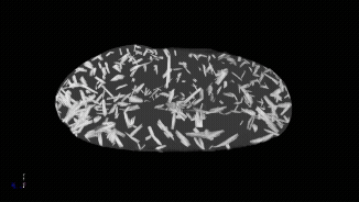 3D video of a droplet of gallium with frostlike platinum crystals growing in it. 