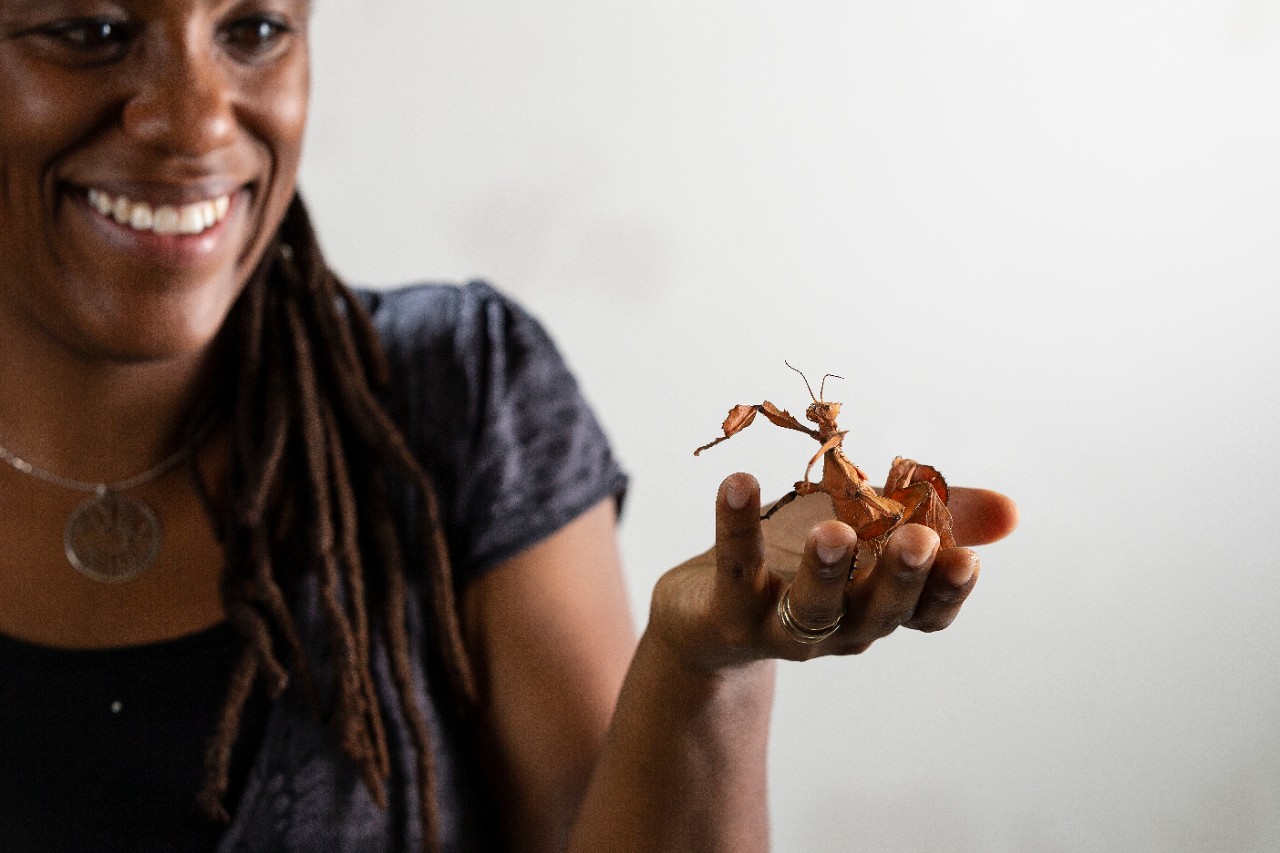 Dr Tanya Latty holding a leaf insect