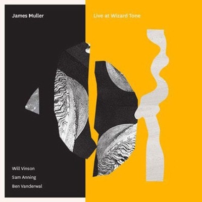 James Muller: Live at Wizard Tone album cover