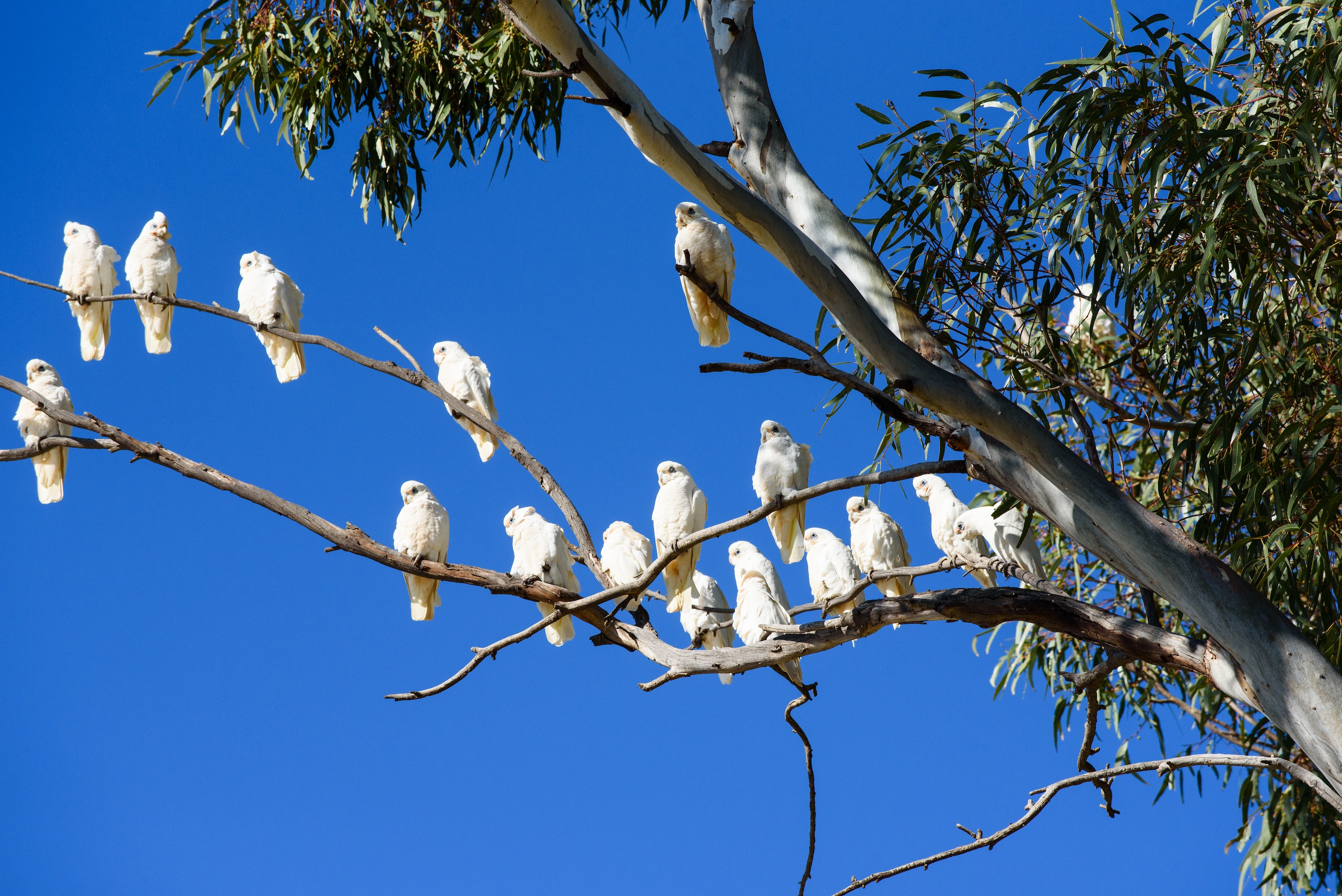 sei-s-collaborative-research-projects-for-2023-the-university-of-sydney