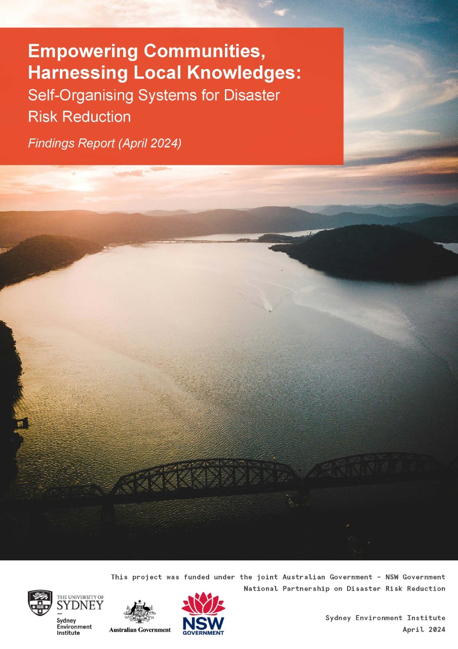 Cover image DRRF Report