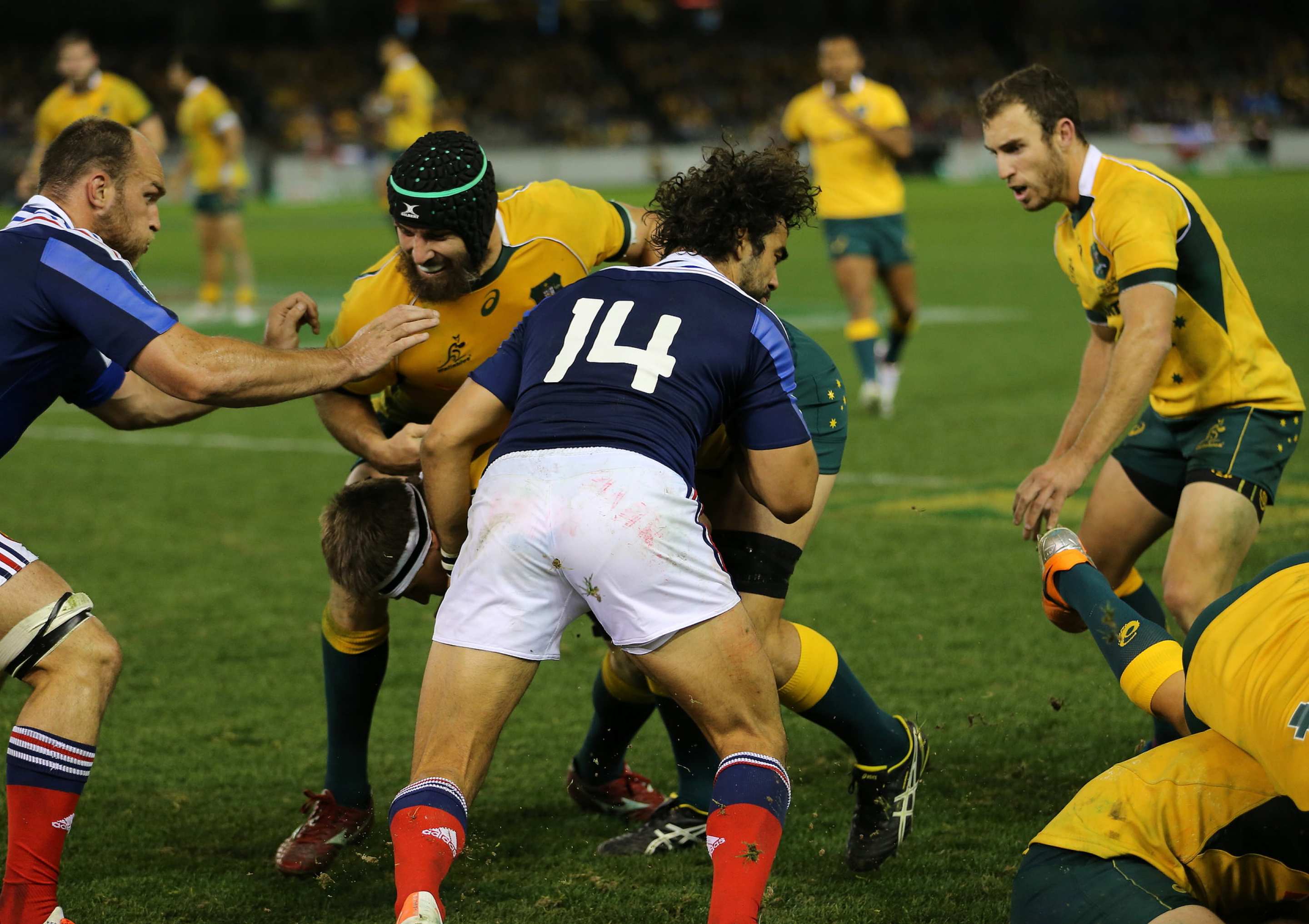 Wallabies play France