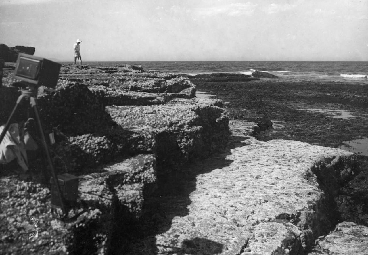 William Dakin exploring rock platform. Macleay Collections, Chau Chak Wing Museum, The University of Sydney, HP84.7.117.01