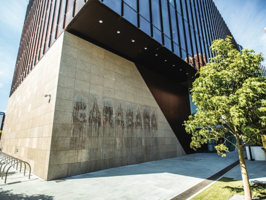 Garabara artwork at the Social Sciences Building