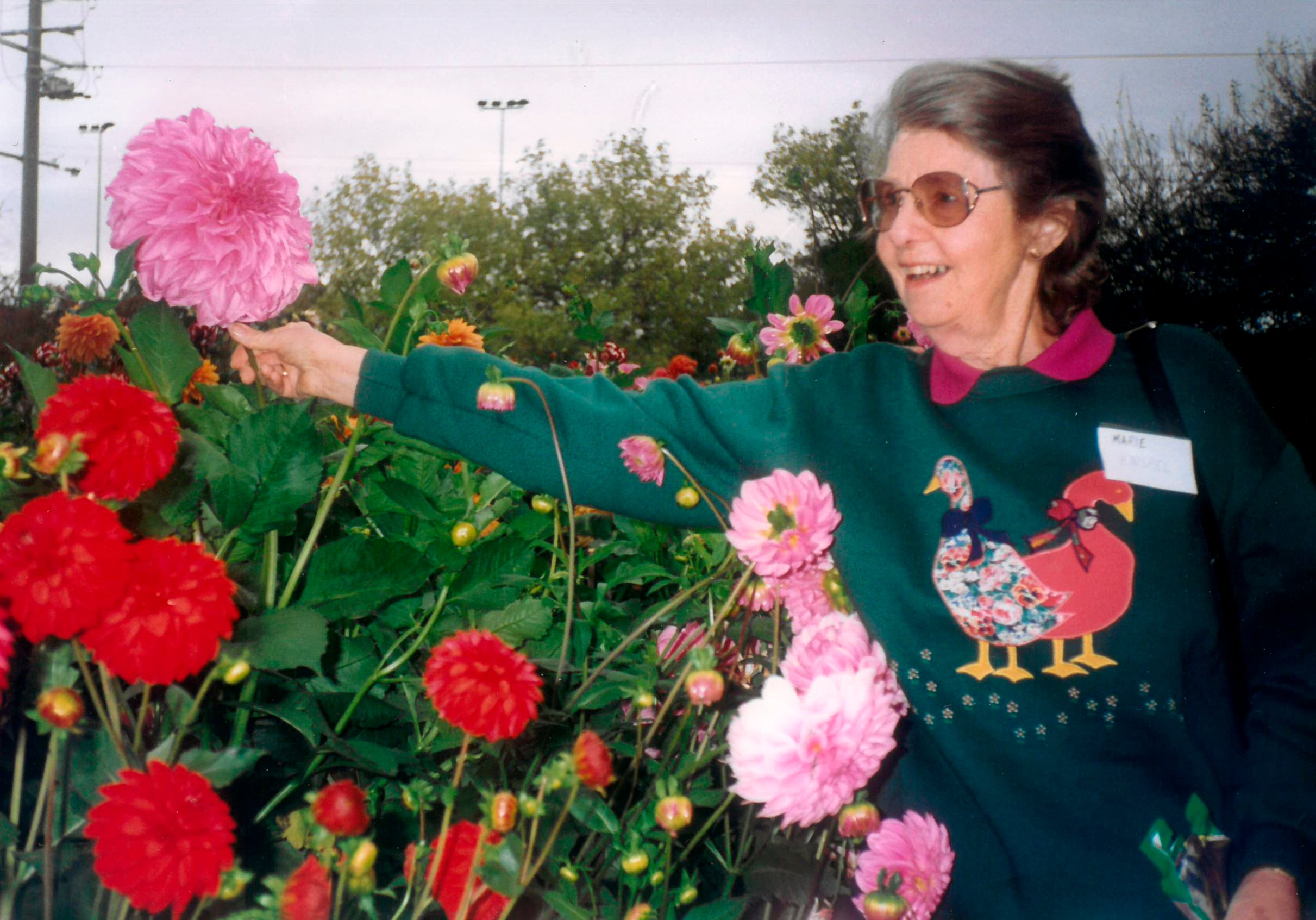 Dr Marie June Knispel  picking flowers