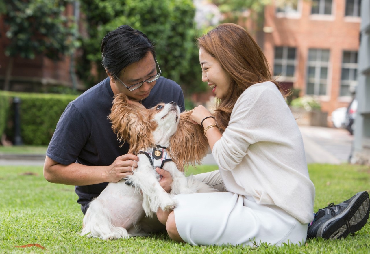 Prince with owners Ken and Cindy Ting 