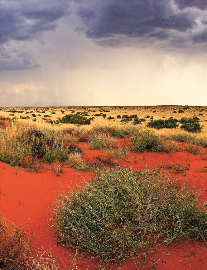 Sand dunes with storm in the background