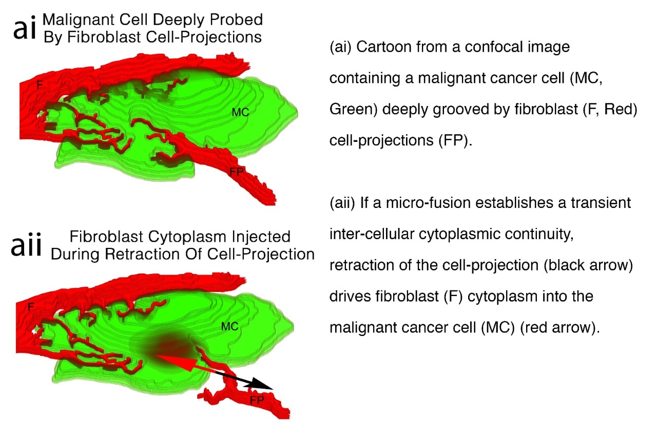 Diagram of Cell-Projection Pumping and Explanation