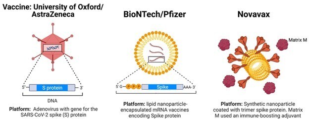 A diagram comparing Australia's three current vaccine options.