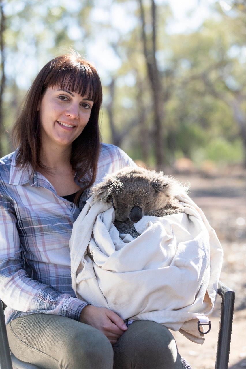 Dr Valentina Mella with koala in Gunnedah, NSW.