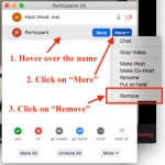 Screenshot - hover over the name in the participants list, then click more, then click remove.