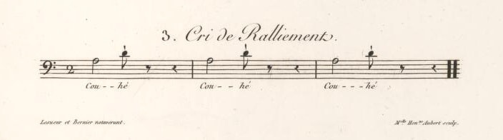 1 Couhe (Lesueur and Petit 1824, pl.32)
